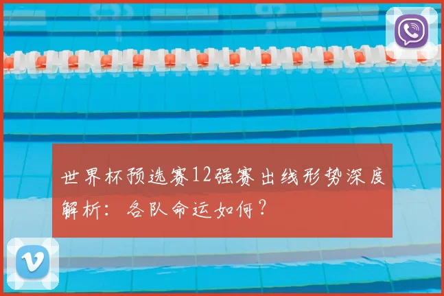 世界杯预选赛12强赛出线形势深度解析：各队命运如何？