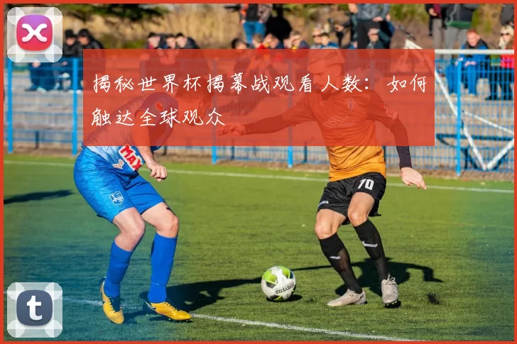 揭秘世界杯揭幕战观看人数：如何触达全球观众