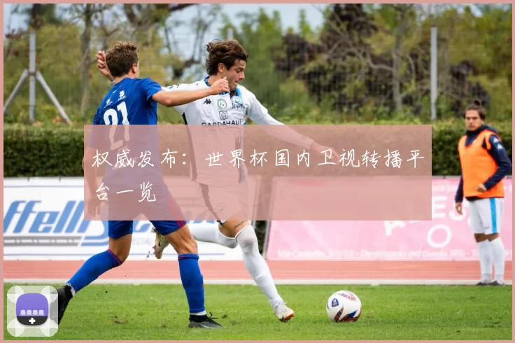 权威发布:世界杯国内卫视转播平台一览