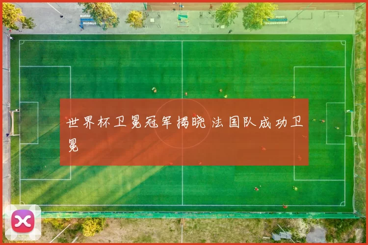 世界杯卫冕冠军揭晓 法国队成功卫冕
