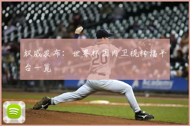 权威发布:世界杯国内卫视转播平台一览