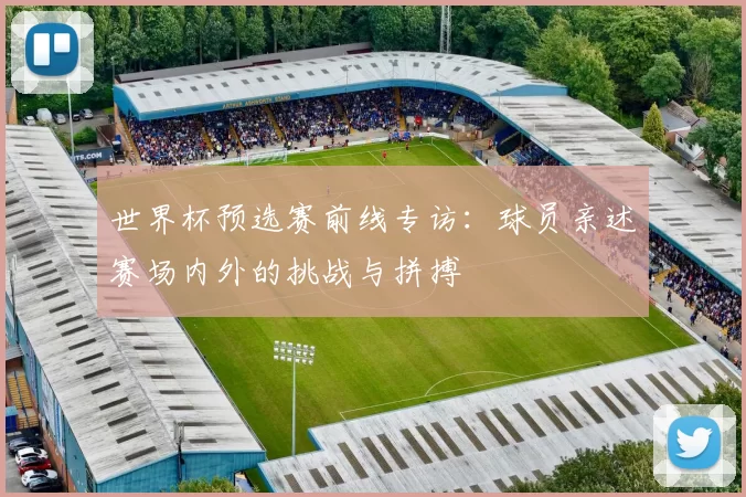 世界杯预选赛前线专访：球员亲述赛场内外的挑战与拼搏