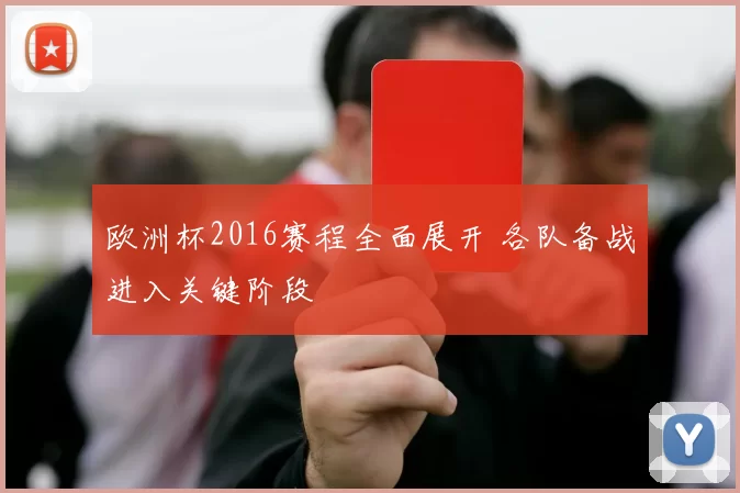 欧洲杯2016赛程全面展开 各队备战进入关键阶段