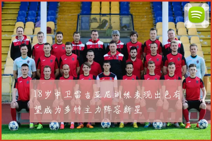 18岁中卫雷吉亚尼训练表现出色有望成为多特主力阵容新星