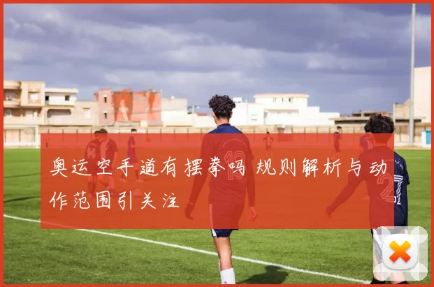 奥运空手道有摆拳吗 规则解析与动作范围引关注