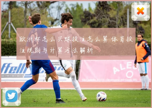 欧洲杯怎么买球投注怎么算 体育投注规则与计算方法解析
