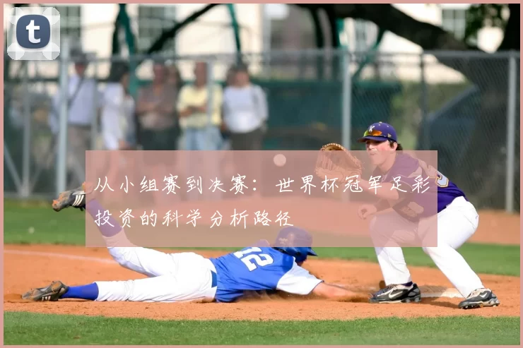 从小组赛到决赛：世界杯冠军足彩投资的科学分析路径